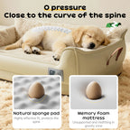 Heavy-Duty All-Weather Dog House: Chew-Resistant, Portable & Washable for Medium/Large Dogs